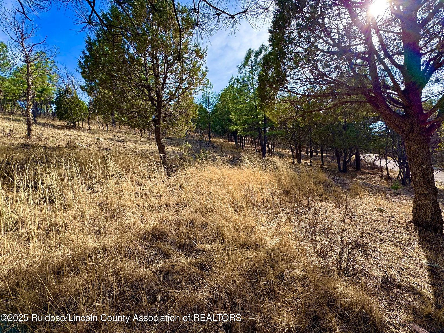 44 Sawmill Canyon Rd Alto, NM 88312  | Land/Lot