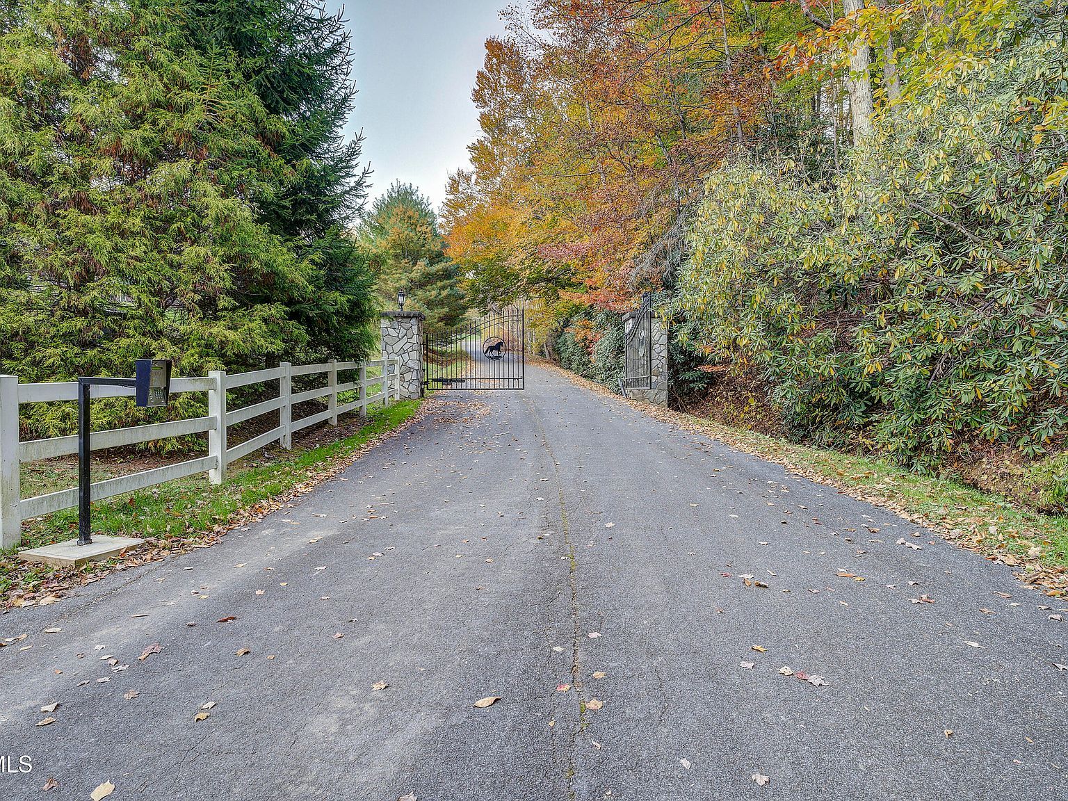 1008 Holly Meadow Rd Mountain City, TN 37683 | Single Family