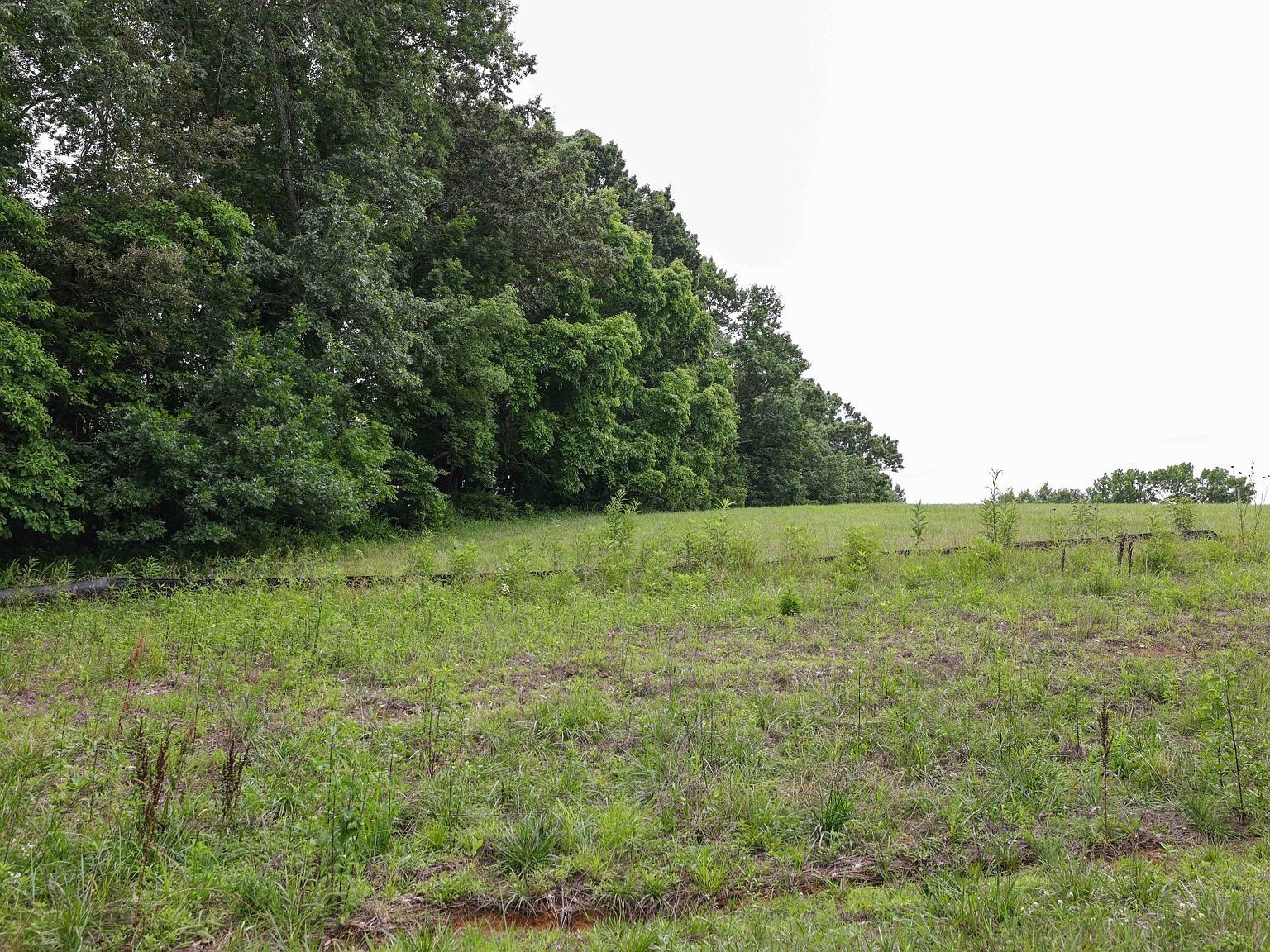 9016 Possum Trot Trl LOT 1 College Grove, TN 37046  | Single Family