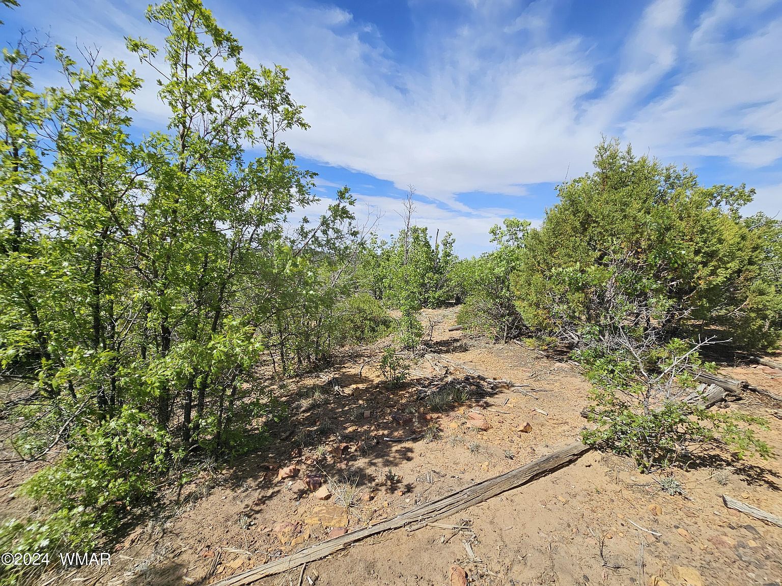 White Cloud Ln Pinedale, AZ 85934  | Land/Lot