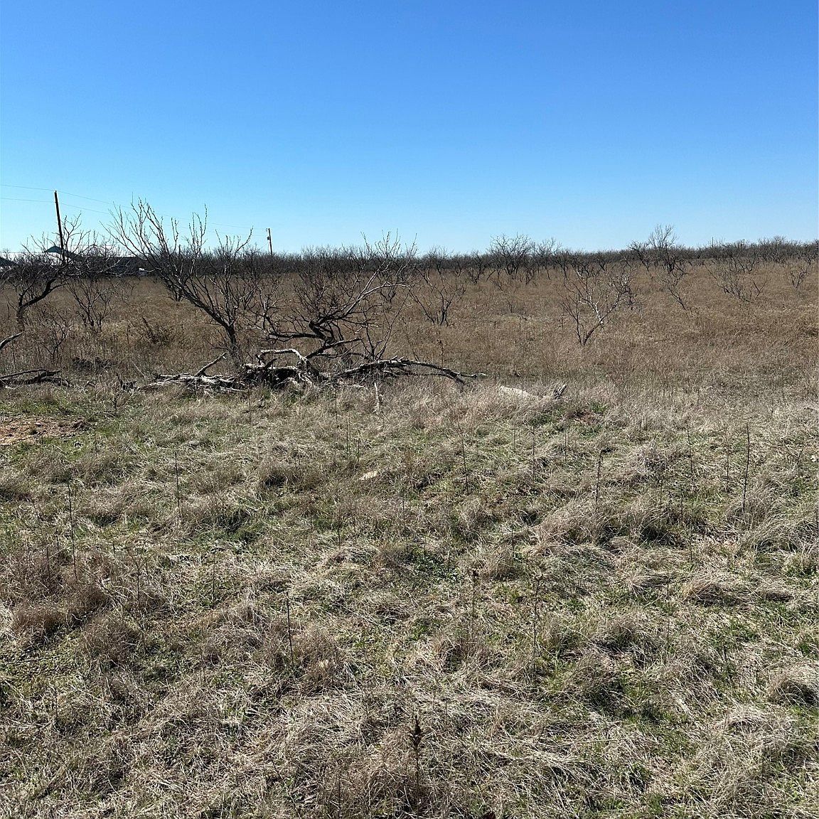 TRACT 20 County Road 155 Abilene, TX 79601 | Land/Lot