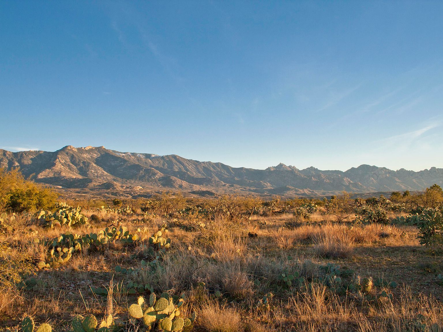 0 E Calle Rosa Linda #2 Tucson, AZ 85739  | Land/Lot