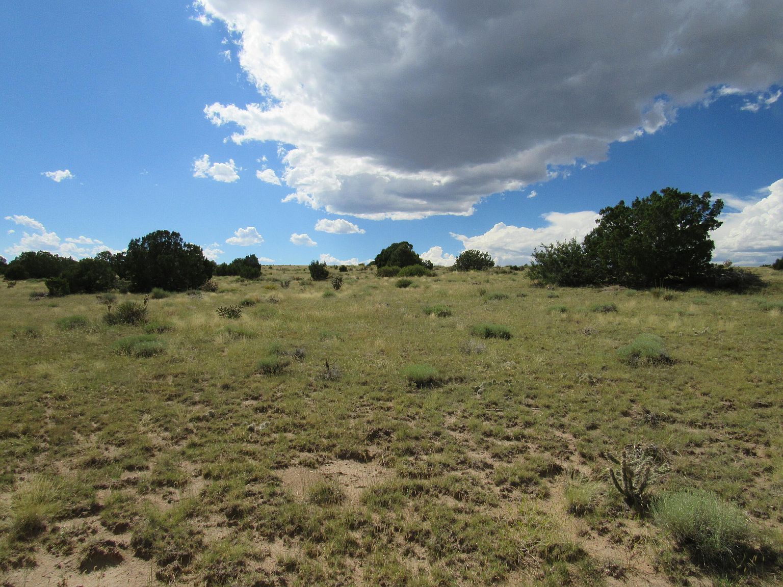 Greenhorn Vlg LOT 209 Walsenburg, CO 81089 | Land/Lot