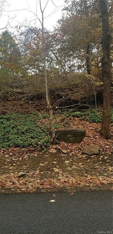 48 Gordon Ave Briarcliff Manor, NY 10510  | Land/Lot