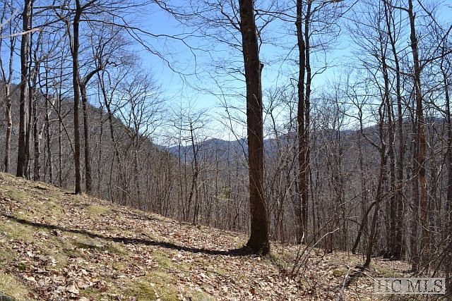 LOT 35 Hidden Grouse Ln Sapphire, NC 28774  | Land/Lot