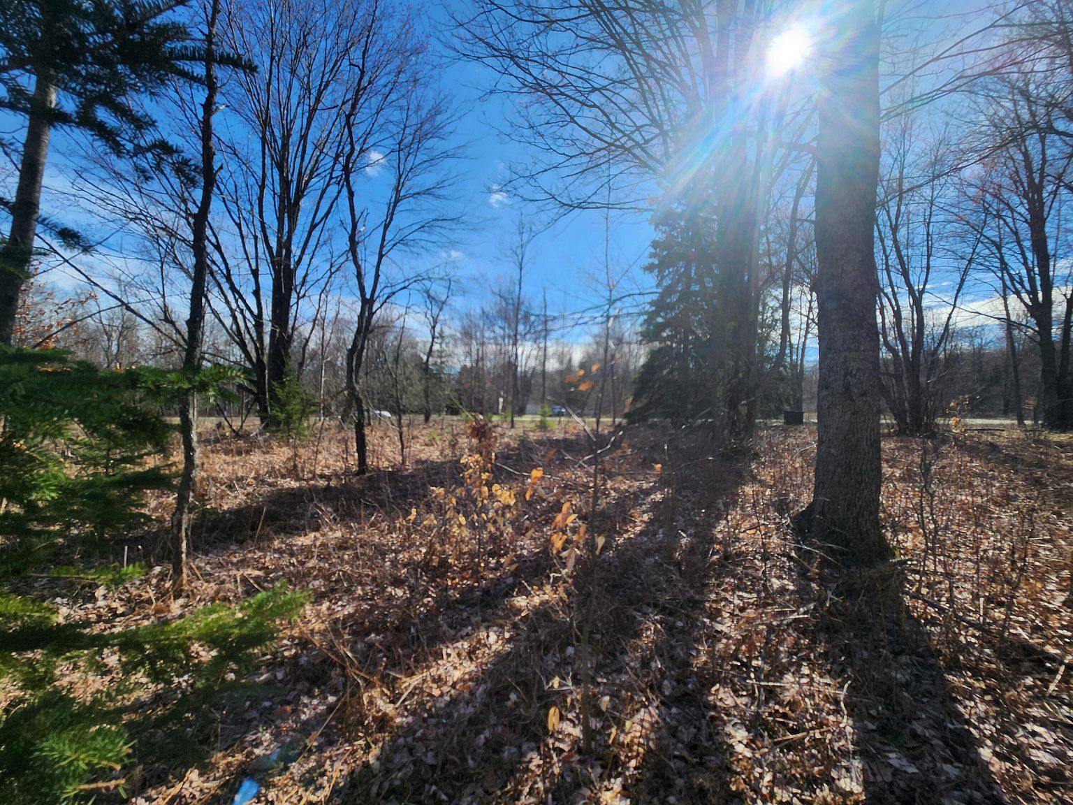 LOT 1829 Sandpiper Trl Gaylord, MI 49735 | Land/Lot