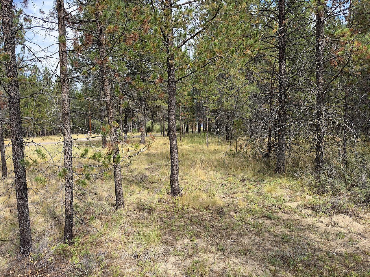 Caribou Dr Bend, OR 97707 | Land/Lot