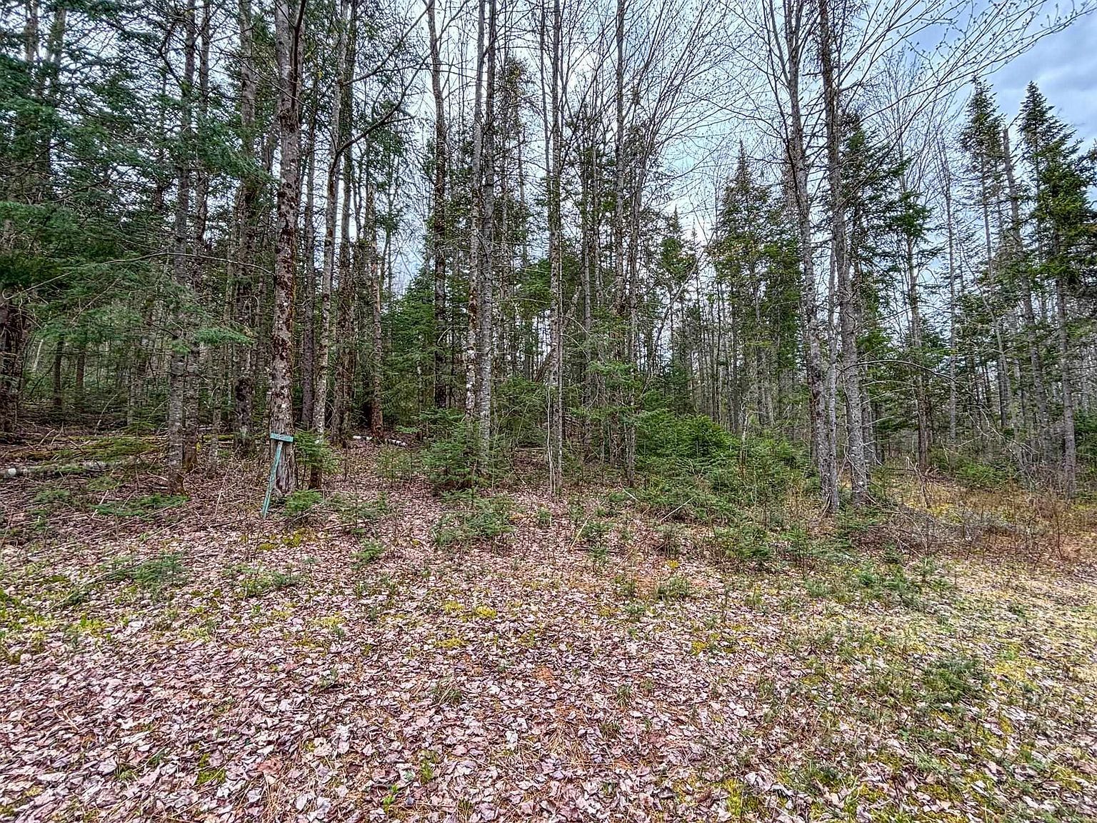 0 Atwood Dr #3 Island Pond, VT 05846  | Land/Lot