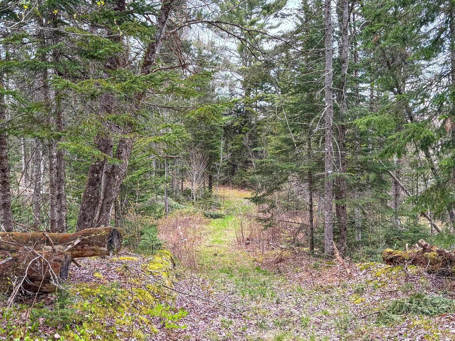 0 Atwood Dr #4 Island Pond, VT 05846  | Land/Lot