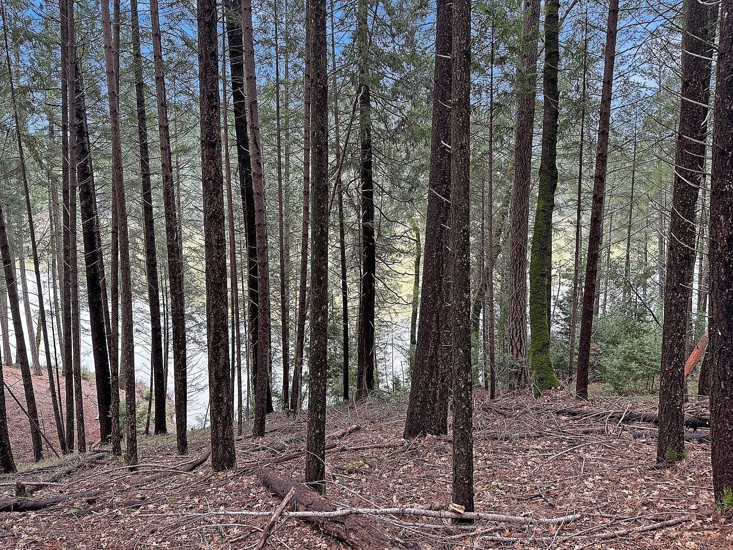 17871 Rollins View Dr Grass Valley, CA 95945  | Land/Lot