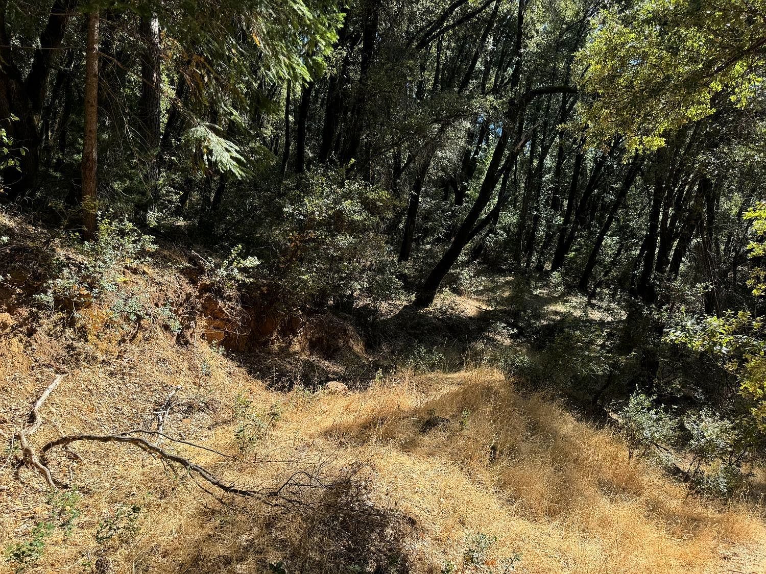 15539 Norvin Way Grass Valley, CA 95949  | Land/Lot