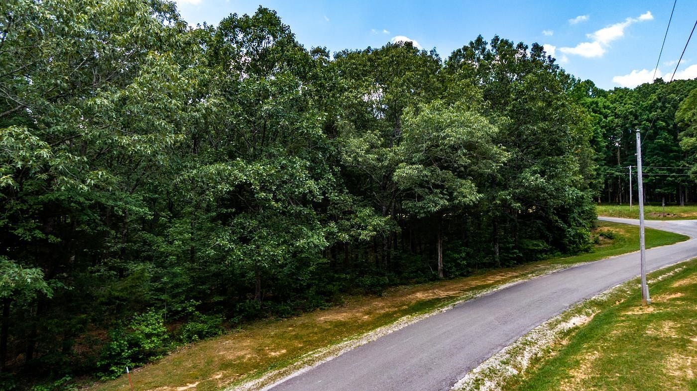 334 Logger Ln Cedar Grove, TN 38321  | Land/Lot