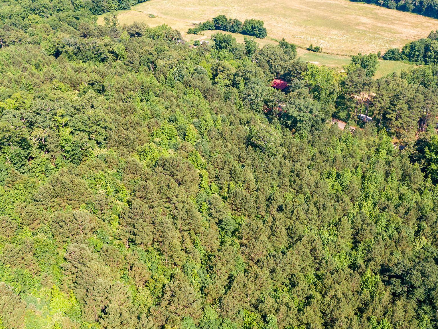 546 N Morgan Creek Rd Sugar Tree, TN 38380  | Land/Lot