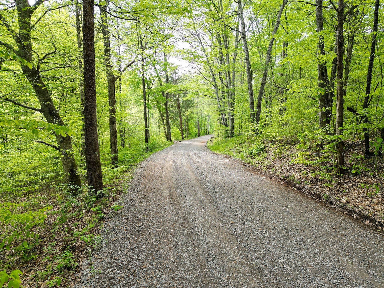 2 Cave Branch Rd Dickson, TN 37055 | Land/Lot