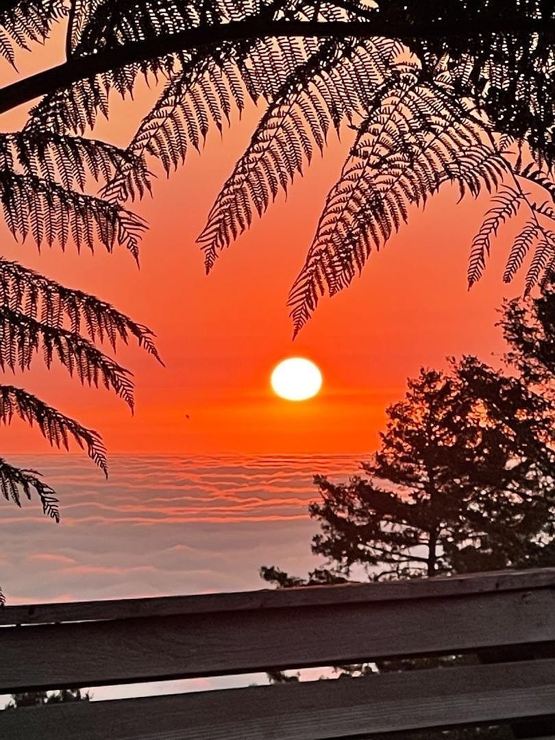 200 S Ranch Rd Pescadero, CA 94060 - Thumbnail 5