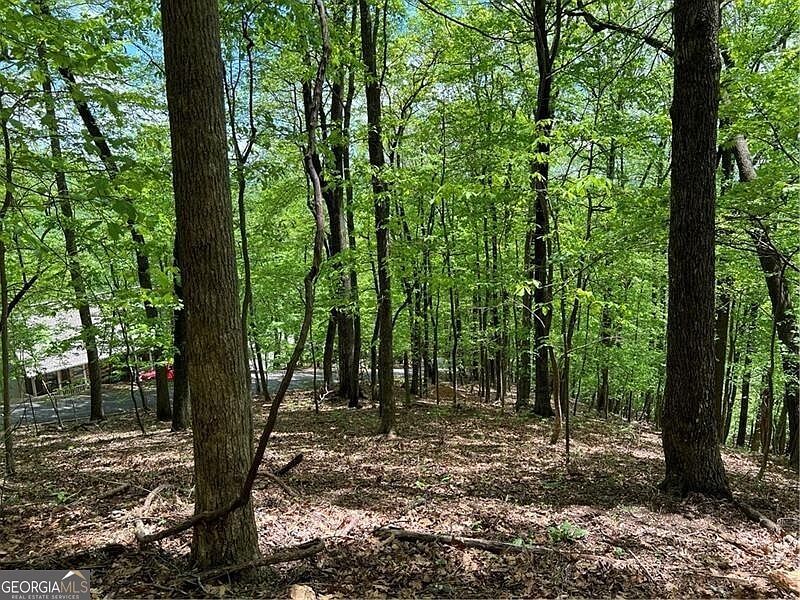 0 Valley View Dr Jasper, GA 30143  | Land/Lot