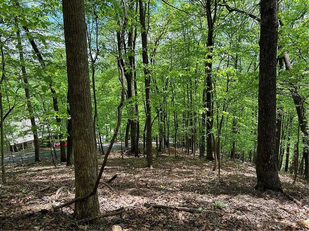 0 Valley View Dr #7081 Jasper, GA 30143  | Land/Lot