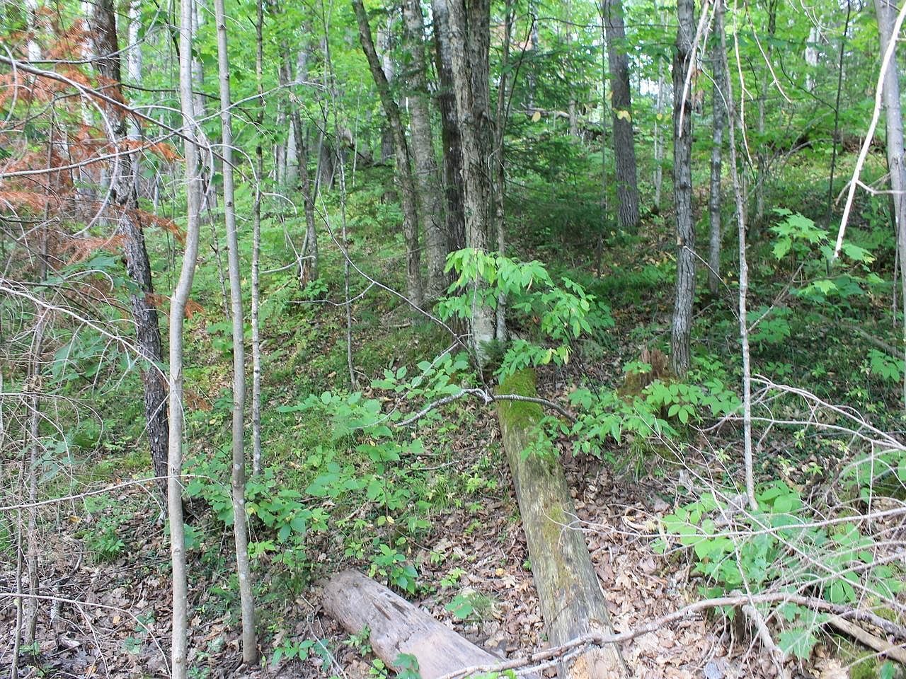 LOT 15 Alpine Dr Upson, WI 54565  | Land/Lot