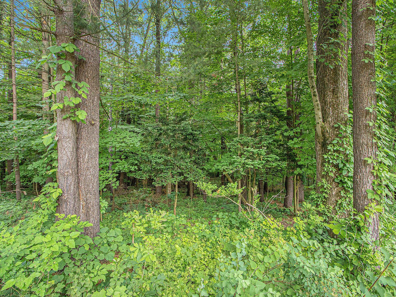 171 Thomas St Allegan, MI 49010  | Land/Lot