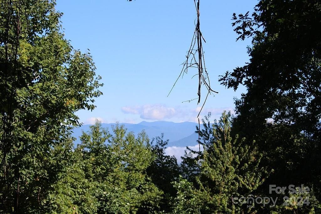 2 Hawks Ridge Dr Whittier, NC 28789  | Land/Lot