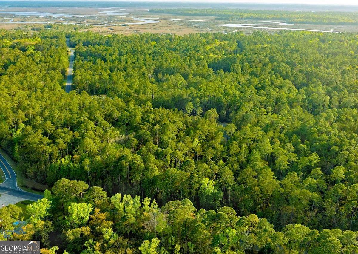 0 Marina Isle Dr Woodbine, GA 31569 | Land/Lot