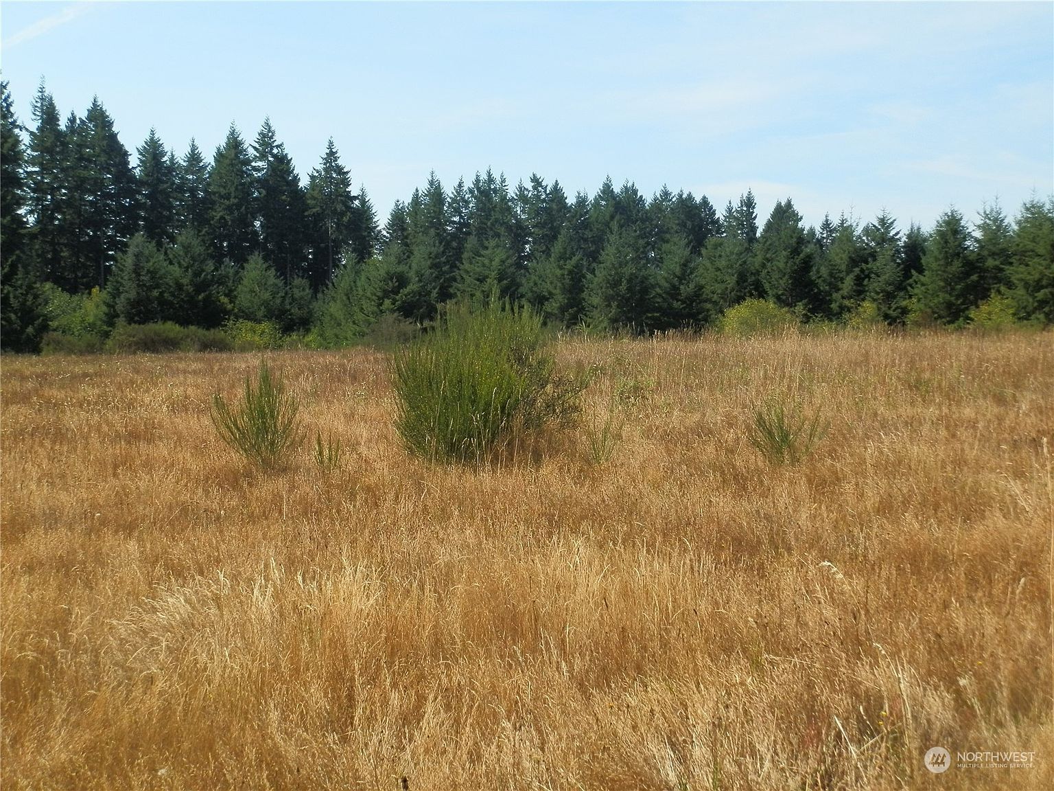 0 Xx Maxine Dr Winlock, WA 98596 | Land/Lot