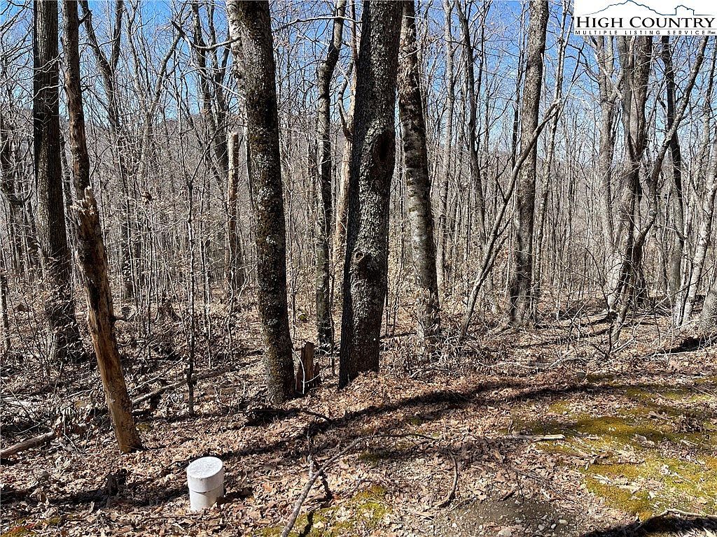 LOT Tyneridge Rd #B Banner Elk, NC 28604  | Land/Lot