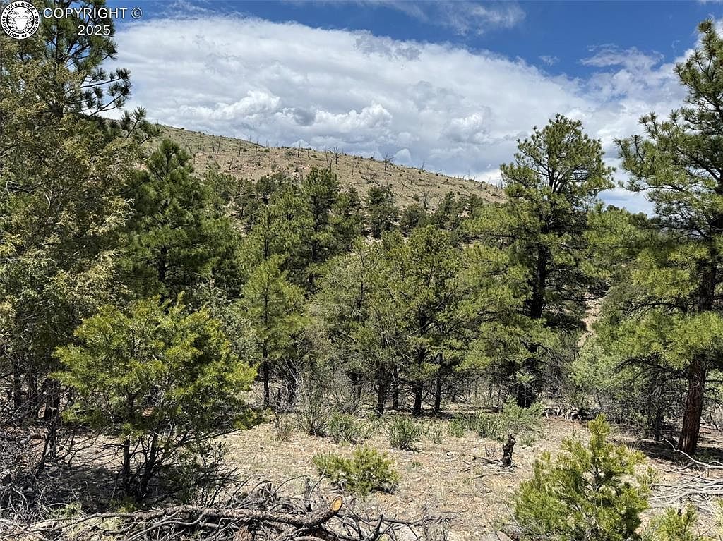 33rd Trl Cotopaxi, CO 81223  | Land/Lot