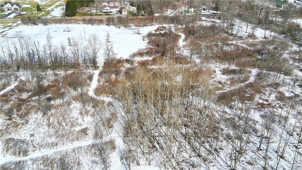 1 Rowland Rd Conesus, NY 14435  | Land/Lot