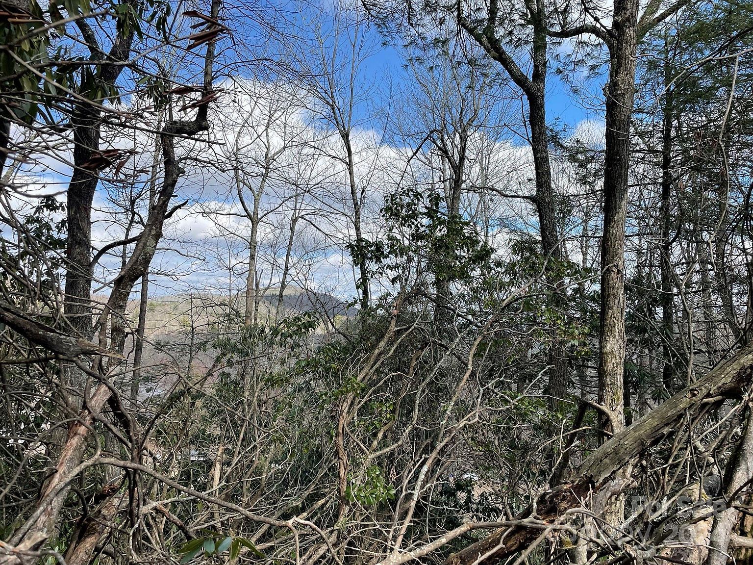 0 Gingercake Rd Newland, NC 28657  | Land/Lot