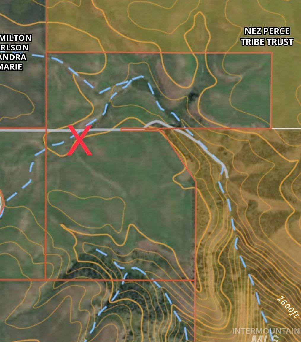 Basket Rd Nezperce, ID 83543  | Land/Lot