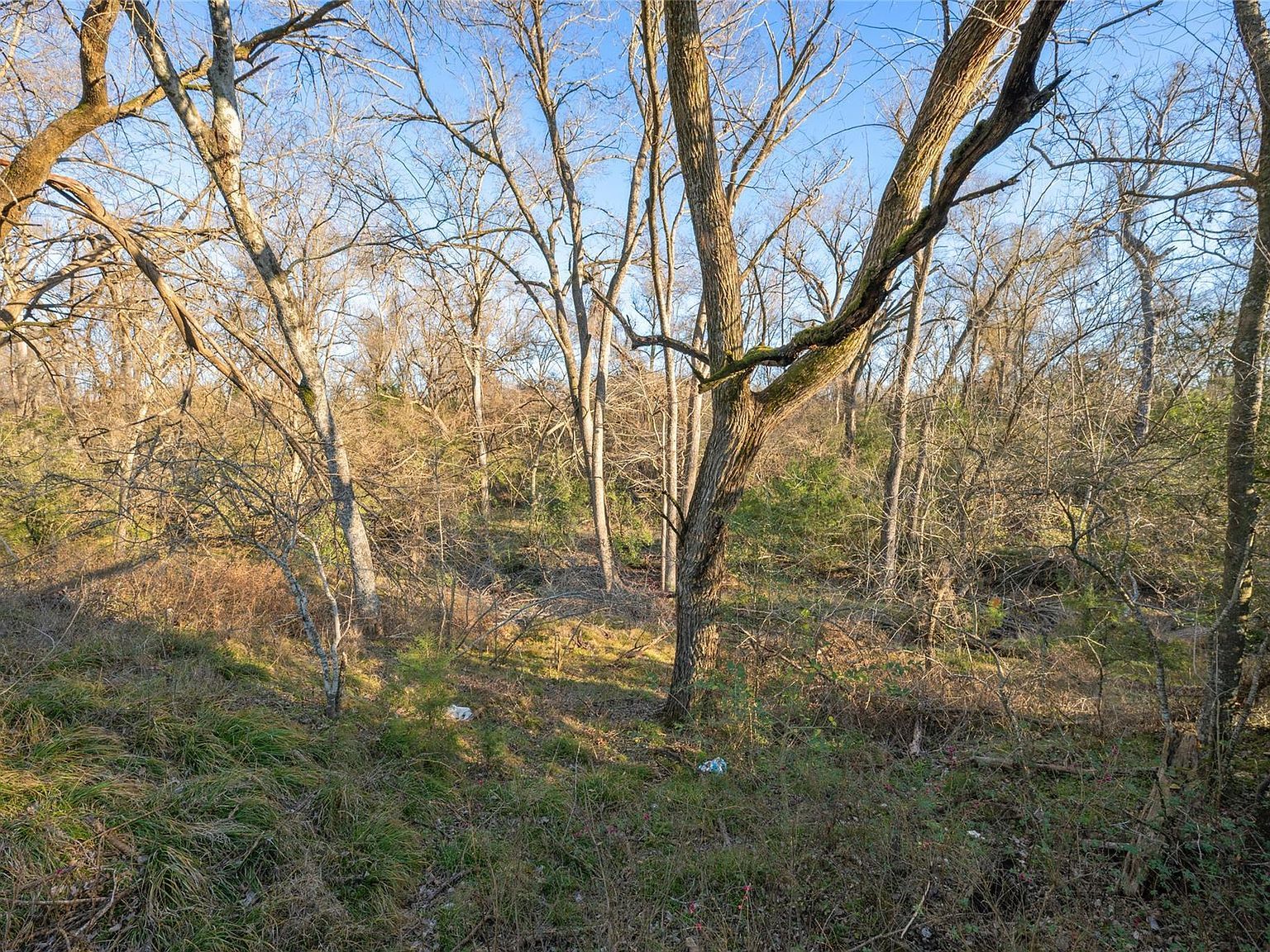 315 Dewey Ln Franklin, TX 77856  | Land/Lot