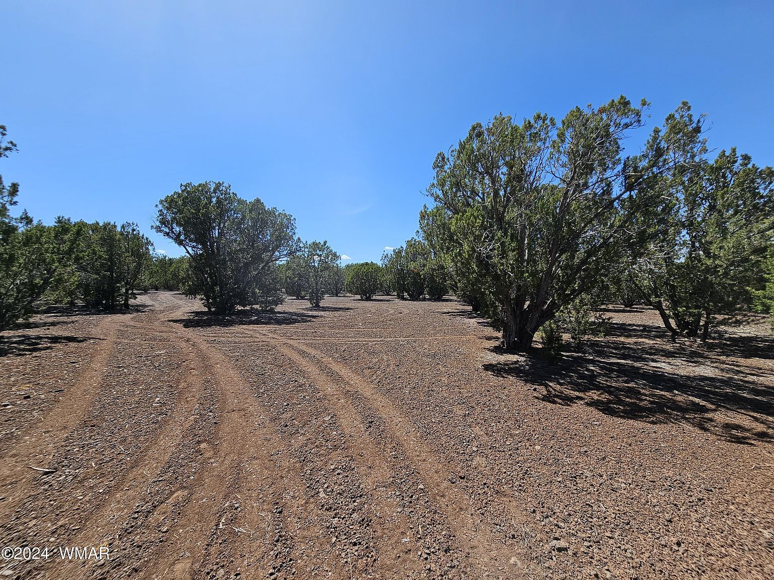 1259 Ranch Rd Show Low, AZ 85901  | Land/Lot