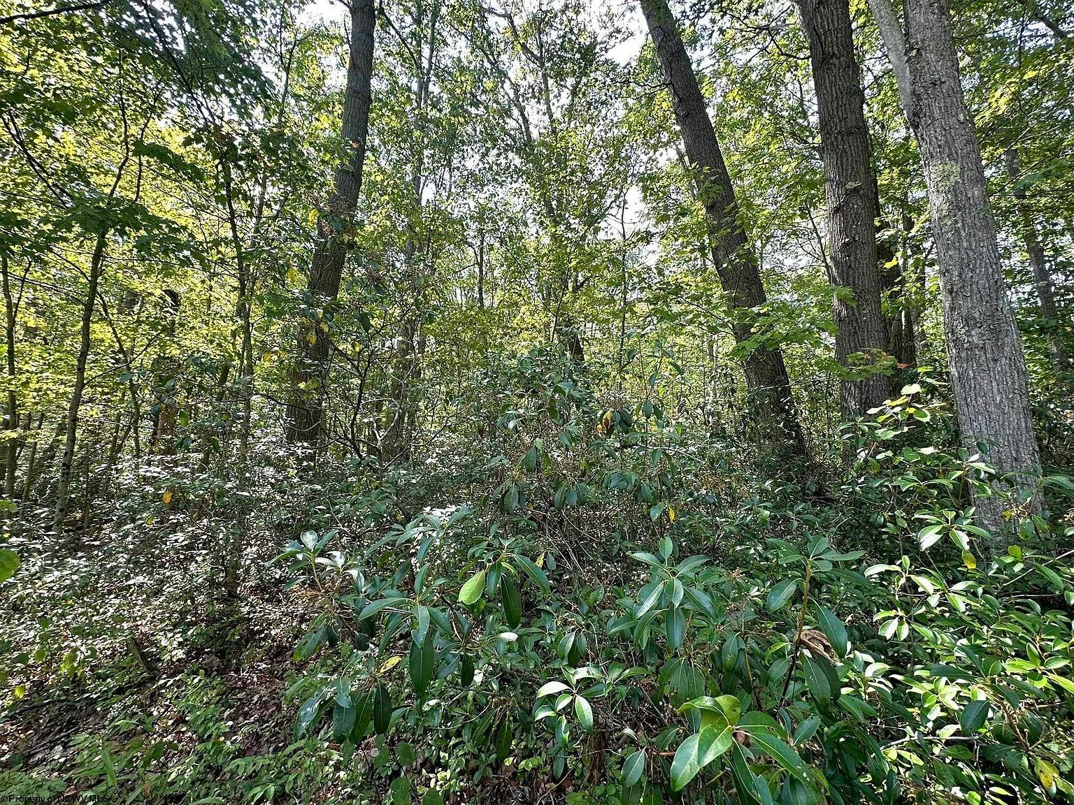 70 Pine Dr Terra Alta, WV 26764  | Land/Lot