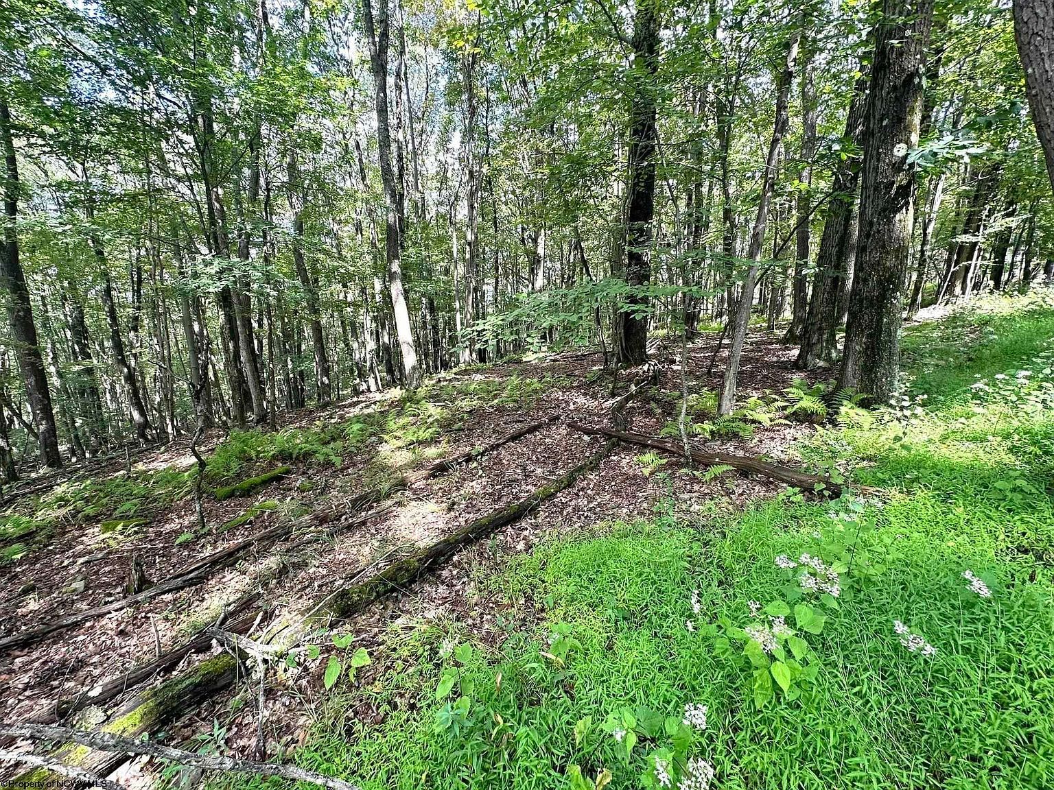 87 Ginger Ct Terra Alta, WV 26764 | Land/Lot