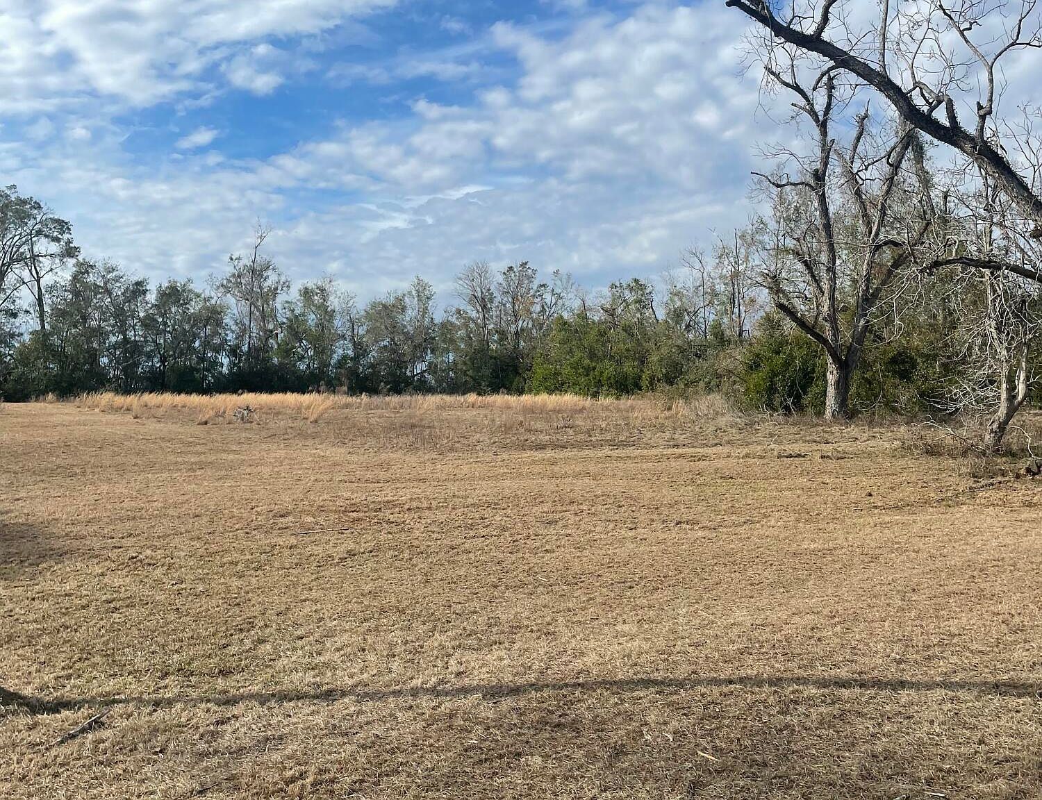 21367 152nd St Live Oak, FL 32060  | Single Family