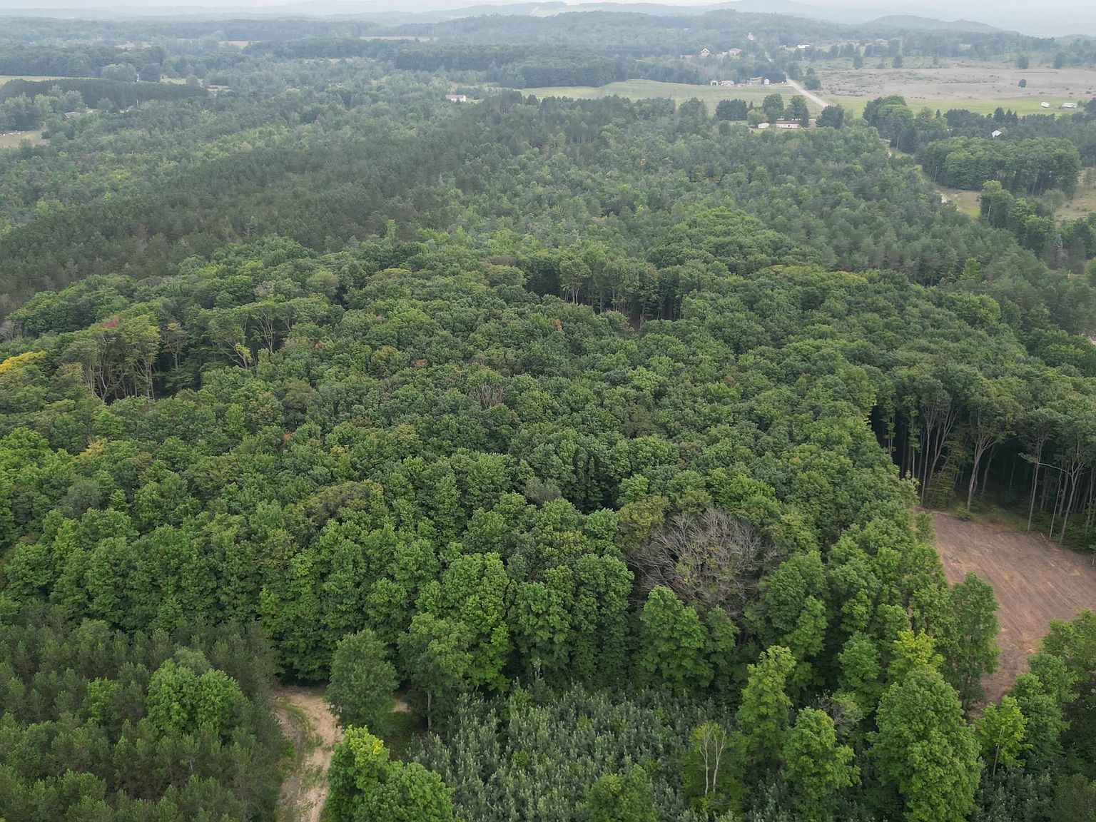 2 S Bright Rd, Maple City, MI, 49664 | Land/Lot