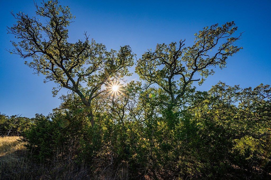 230 Adkins Rd S Kerrville, TX 78028  | Single Family