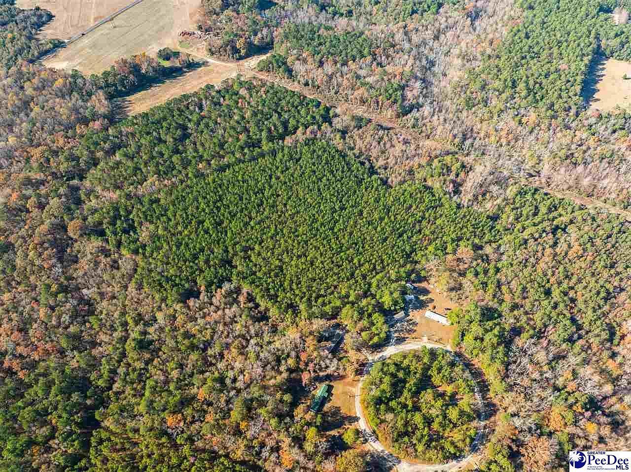 4.87 Acres Tract #B2 Pamplico, SC 29583  | Land/Lot