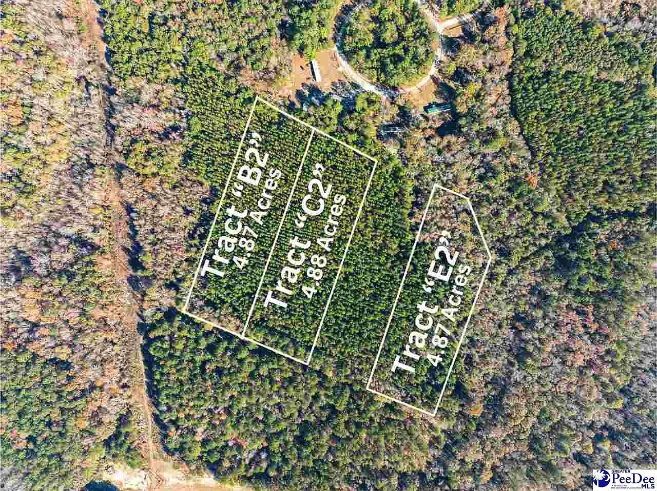4.87 Acres Tract #E2 Pamplico, SC 29583  | Land/Lot