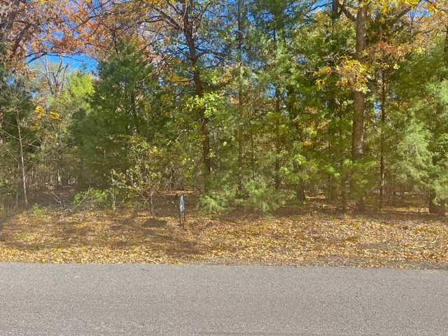 Oakwood Drive, Trinidad, TX, 75163 - Thumbnail 5