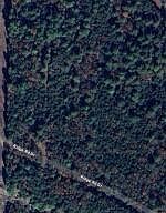 0 Ridge Rd Dardanelle, AR 72834  | Land/Lot