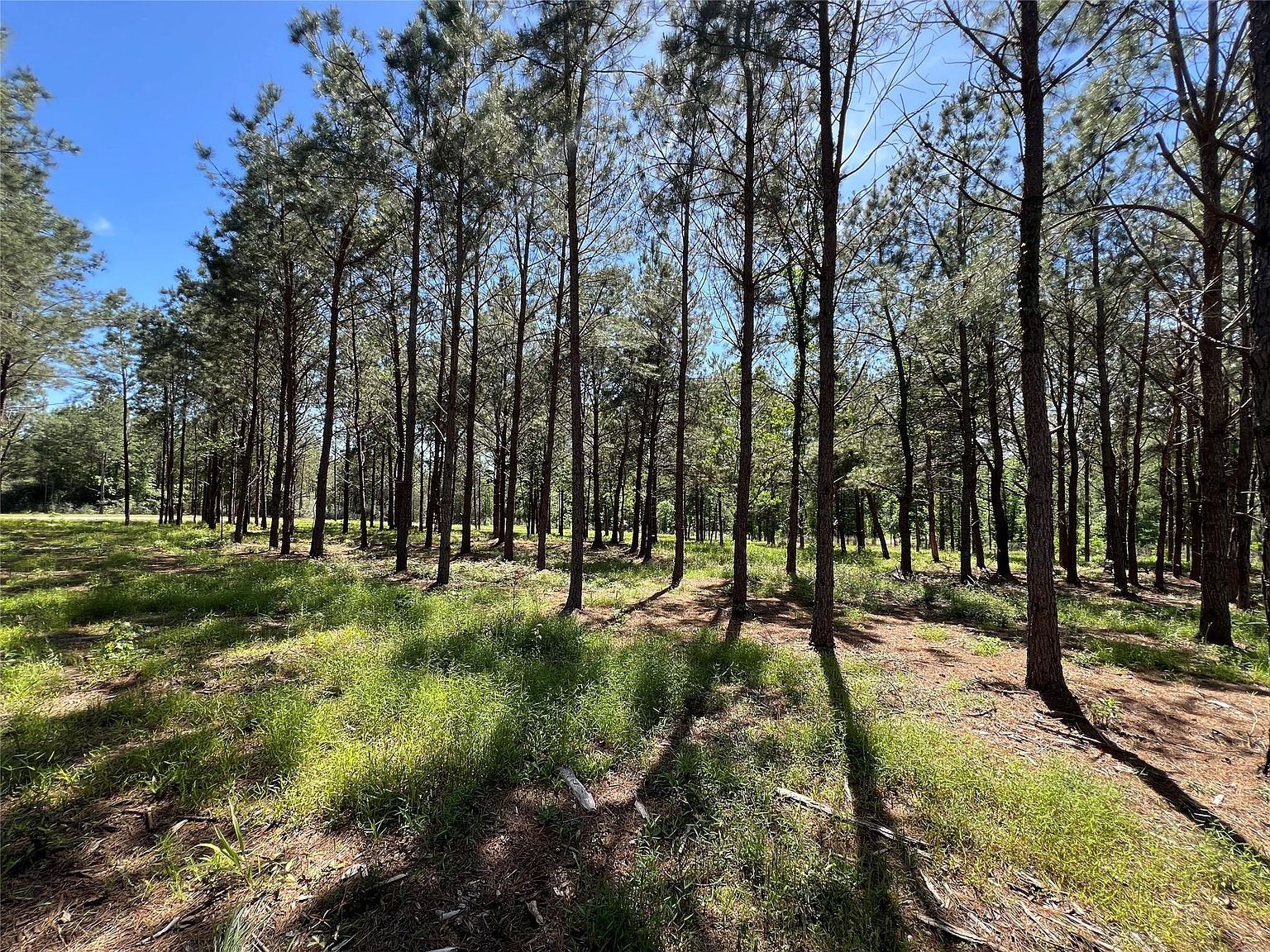 521 Rolling Pines Dr Livingston, TX 77351  | Land/Lot
