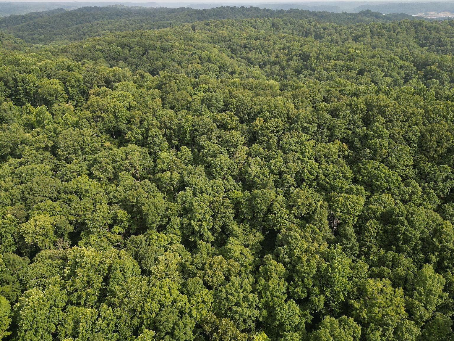 90 Mockingbird Ln Ashland City, TN 37015  | Land/Lot