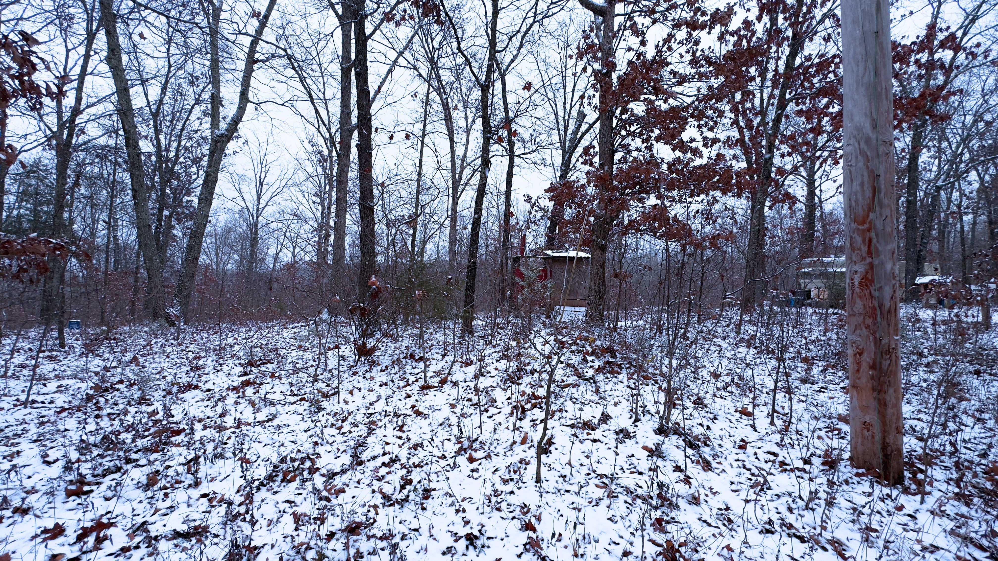 Foxtrot Road, Cadet, MO, 63630  | Land/Lot