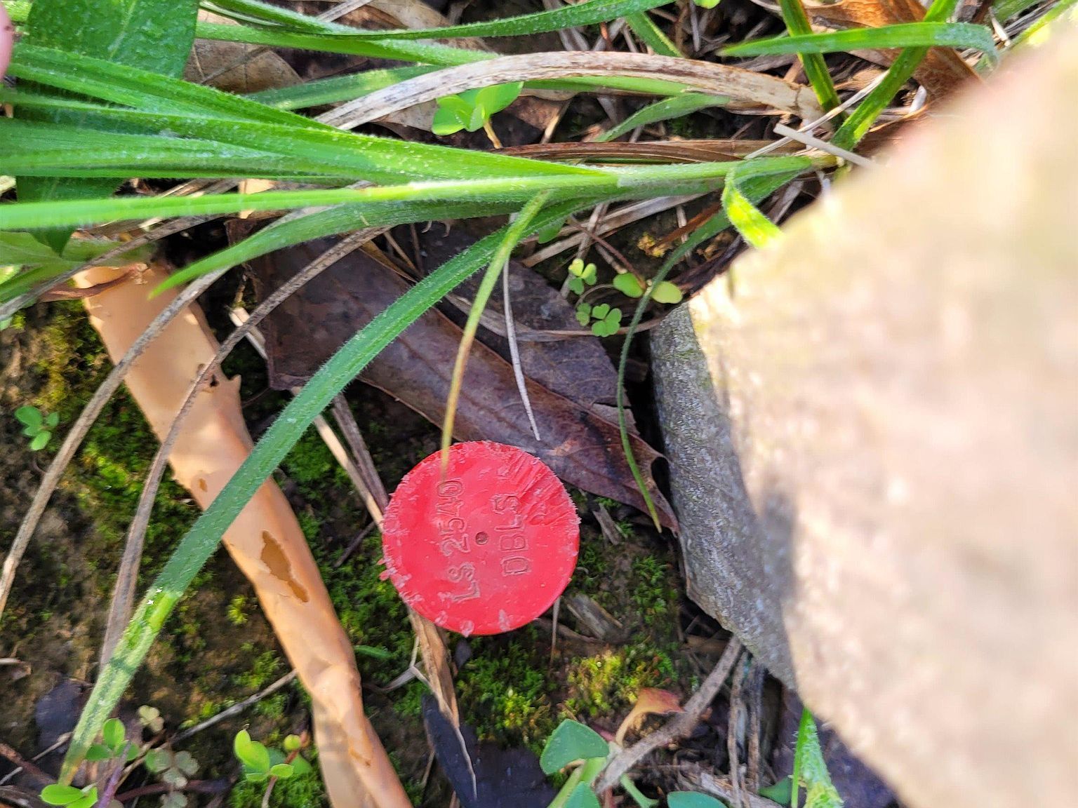 LOT 4 Wendys Ln Lincoln, MO 65338  | Land/Lot