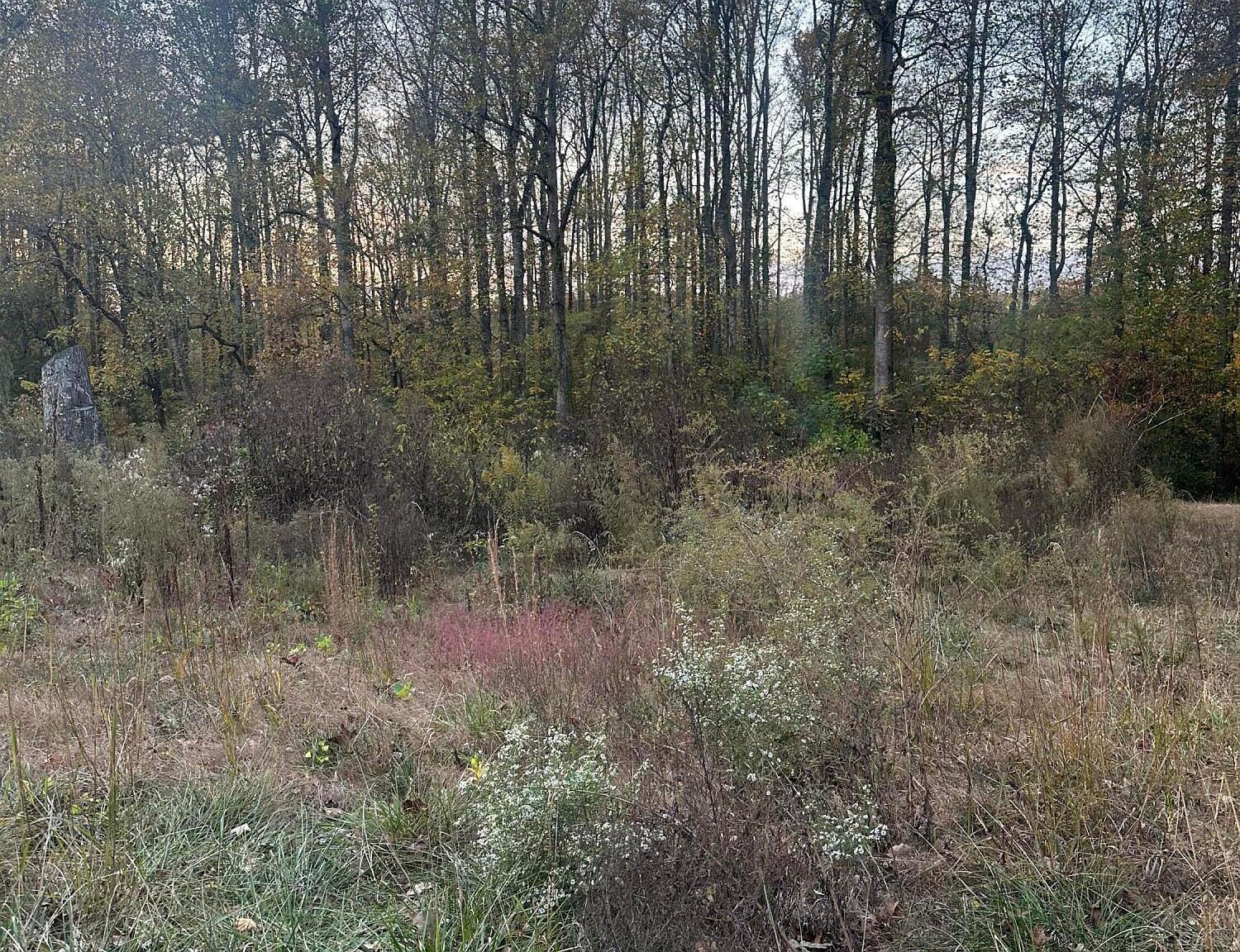 LOT 7 Lake Forest Dr Birchwood, TN 37308 | Land/Lot