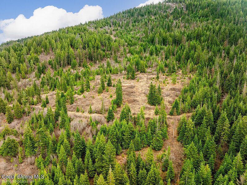 497 Thimbleberry Ln Plummer, ID 83851  | Land/Lot