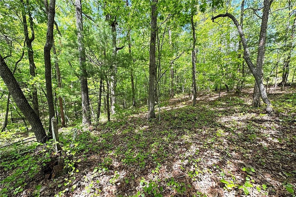 0 Lawrence Rd LOT 3 Dawsonville, GA 30534  | Land/Lot