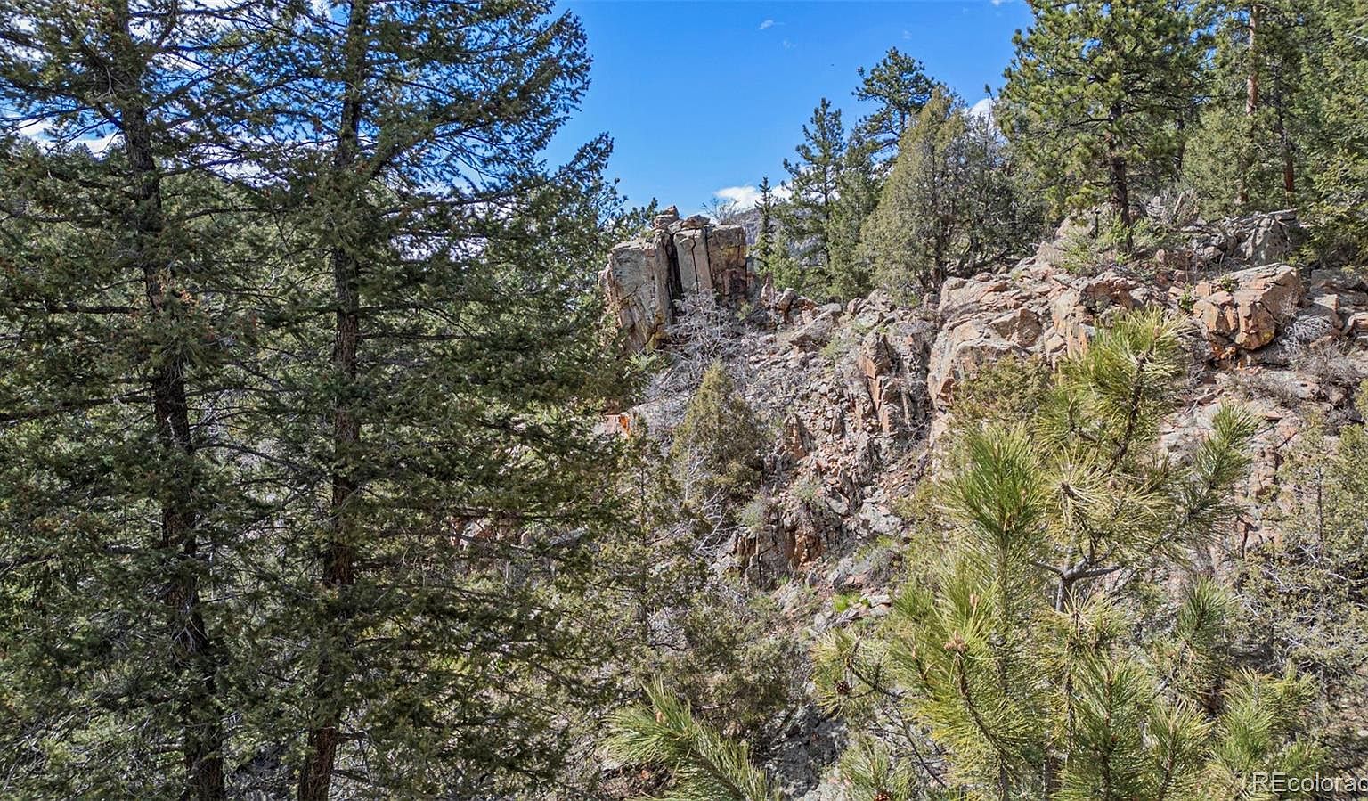 1192 Roland Dr Bailey, CO 80421 | Land/Lot